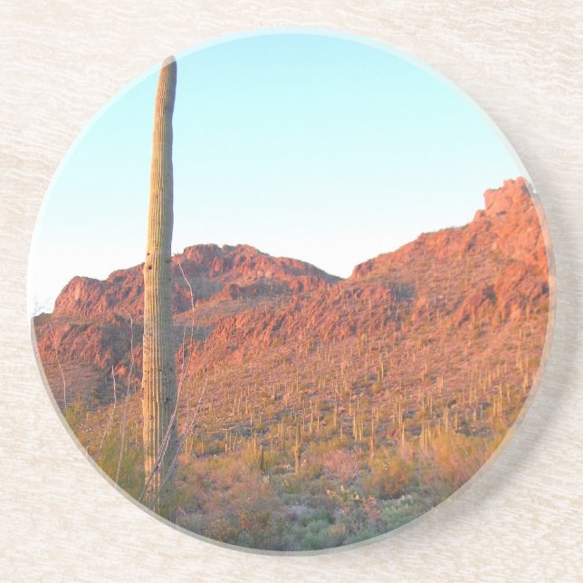 Saguaro National Park Coaster (Front)