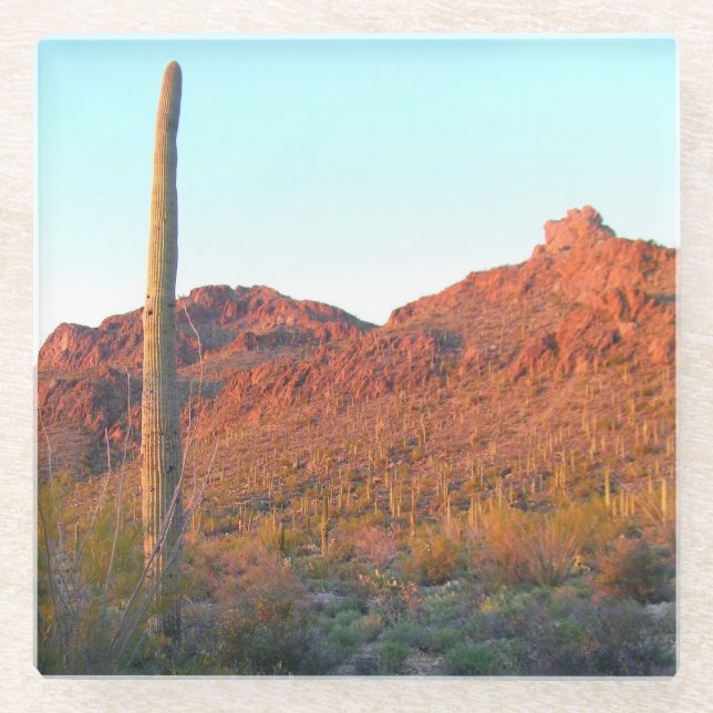 Saguaro National Park Glass Coaster (Front)