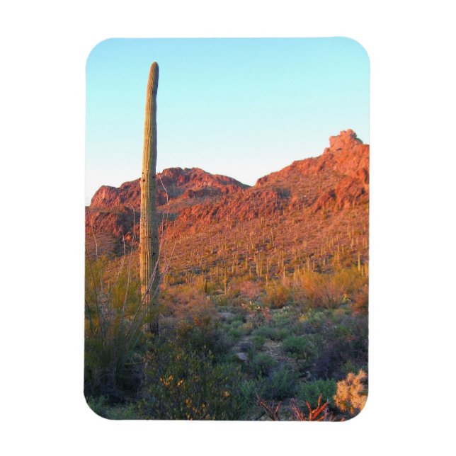 Saguaro national park magnet (Vertical)