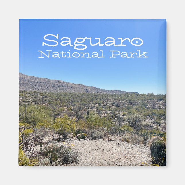Saguaro National Park Magnet (Front)