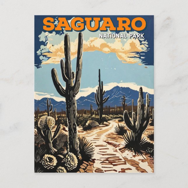 Saguaro National Park  Postcard (Front)