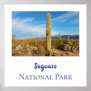 Saguaro national park poster