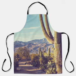 Saguaro National Park, scenic representation. Apron