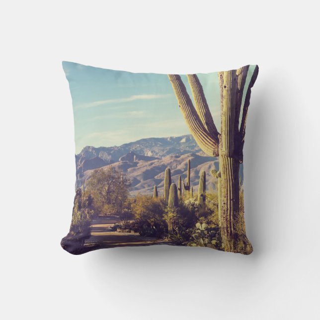 Saguaro National Park, scenic representation. Cushion (Front)