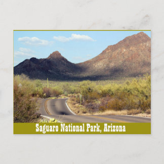 Saguaro National Park, Tuscon Arizona Postcard