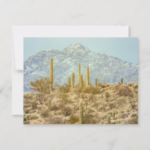 Saguaro National Park with Mountain Postcard