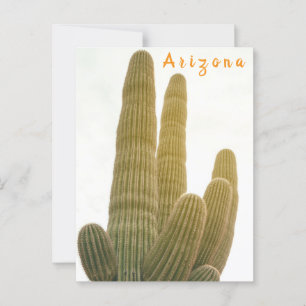 Saguaro Postcard