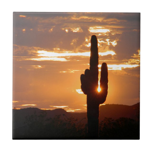 Saguaro Rays Tile (Front)