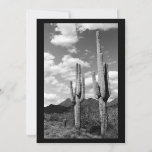 Saguaro Sentinel (AZ Sonoran Desert) Invitation