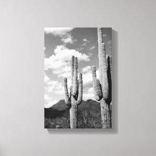 Saguaro Sentinels Photo Canvas (AZ Sonoran Desert) Print