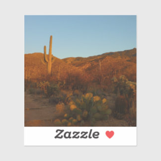 Saguaro Sunset I Arizona Desert Landscape