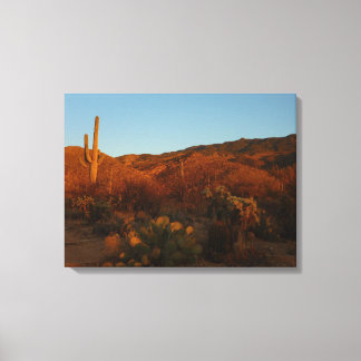 Saguaro Sunset I Arizona Desert Landscape Canvas Print