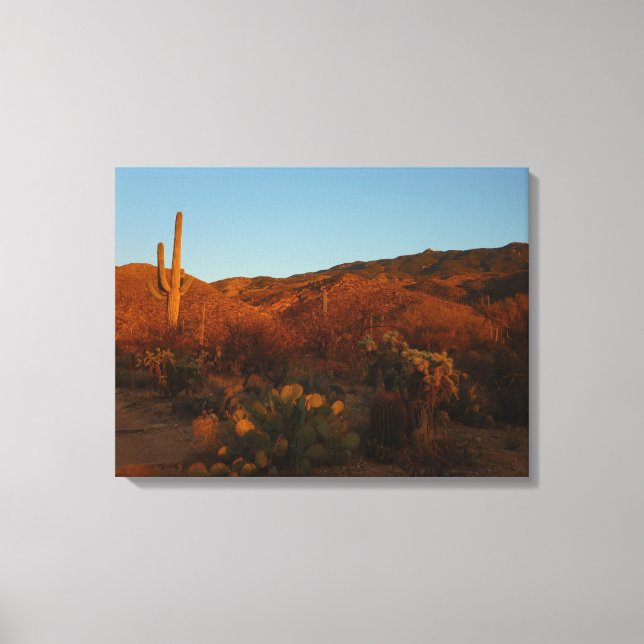 Saguaro Sunset I Arizona Desert Landscape Canvas Print (Front)