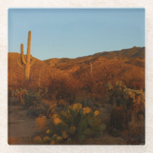 Saguaro Sunset I Arizona Desert Landscape