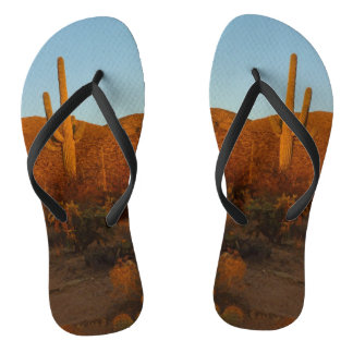 Saguaro Sunset I Arizona Desert Landscape Jandals