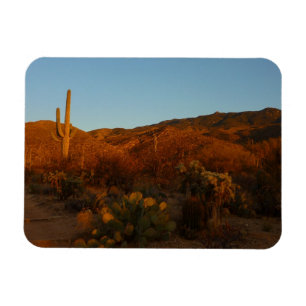 Saguaro Sunset I Arizona Desert Landscape Magnet