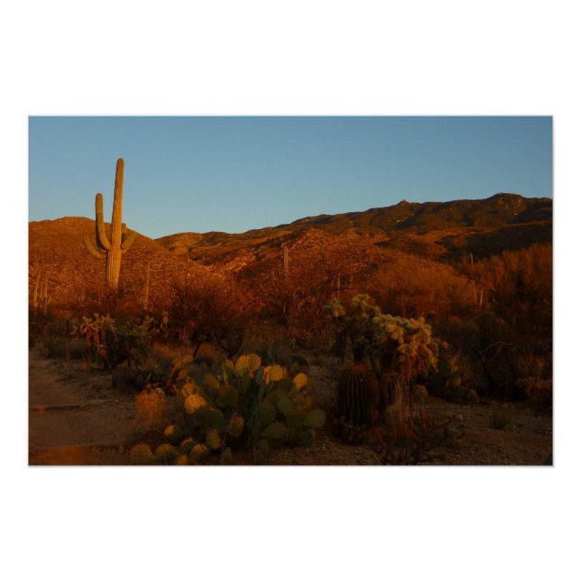 Saguaro Sunset I Arizona Desert Landscape Poster (Front)