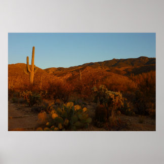 Saguaro Sunset I Arizona Desert Landscape Poster