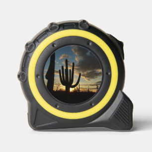 Saguaro Sunset II Arizona Desert Landscape 1
