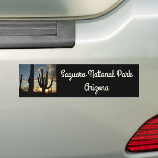 Saguaro Sunset II Arizona Desert Landscape Bumper Sticker