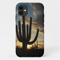 Saguaro Sunset II Arizona Desert Landscape