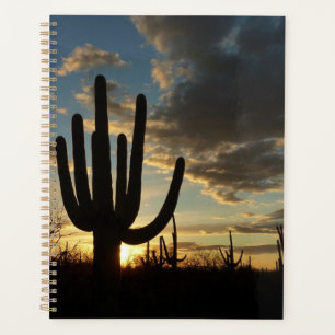 Saguaro Sunset II Arizona Desert Landscape Planner