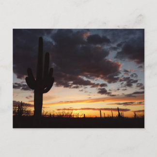 Saguaro Sunset III Arizona Desert Landscape Postcard