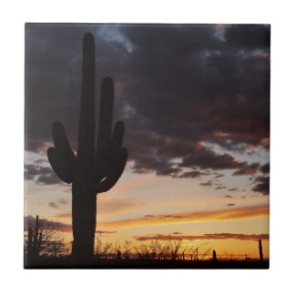Saguaro Sunset III Arizona Desert Landscape Tile