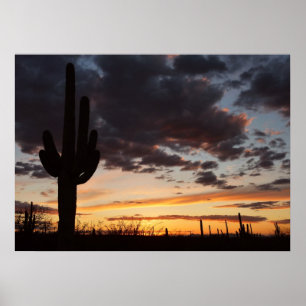 Saguaro Sunset III Arizona Landscape Poster