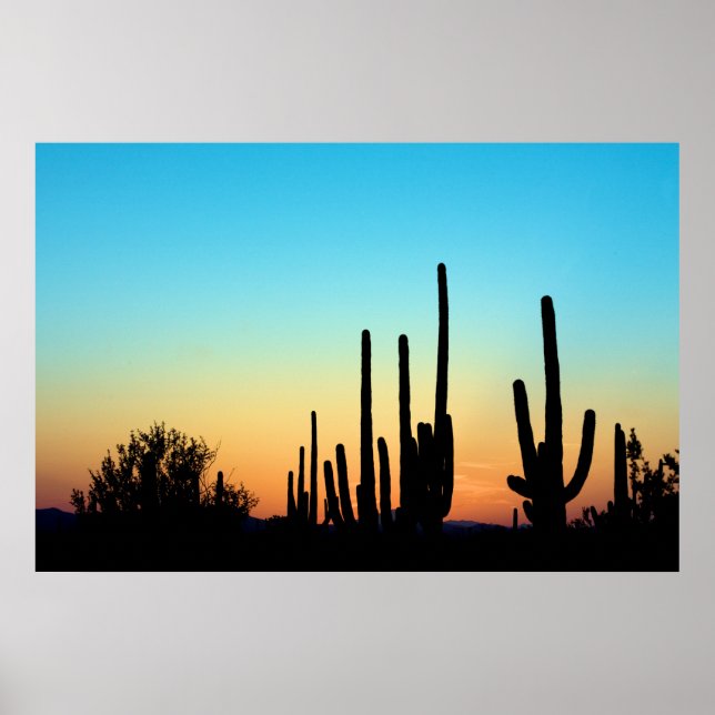 Saguaro Sunset Poster (Front)
