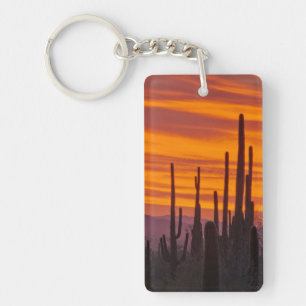 Saguaro, sunset, Saguaro National Park Key Ring
