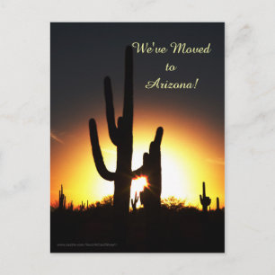 Saguaro with Sun Star, New Address Announcement Postcard