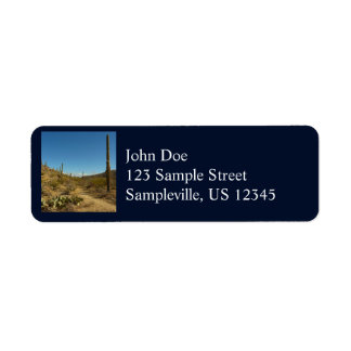Saguaro's Carillo Trail in Saguaro National Park