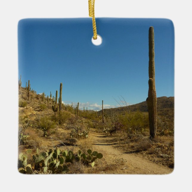 Saguaro's Carillo Trail in Saguaro National Park Ceramic Tree Decoration (Front)
