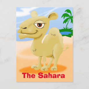 Sahara Cartoon Camel Postcard