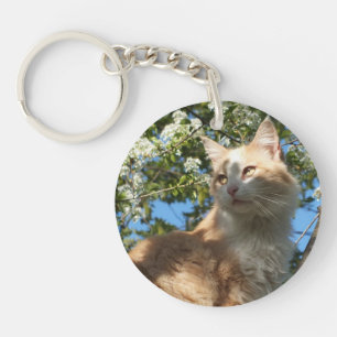 Sahara Cat in a Tree Key Chain