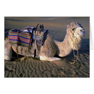Sahara Desert near Merzouga, Morocco
