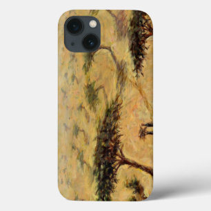 Sahelian Landscape 2002 iPhone 13 Case