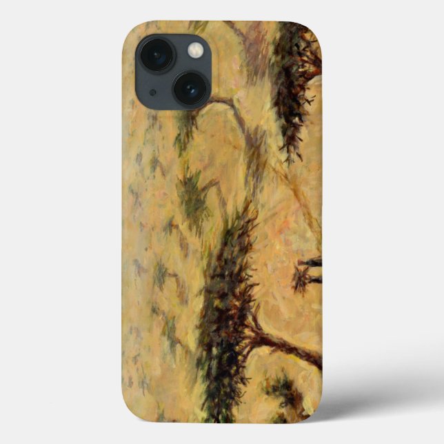 Sahelian Landscape 2002 Case-Mate iPhone Case (Back)