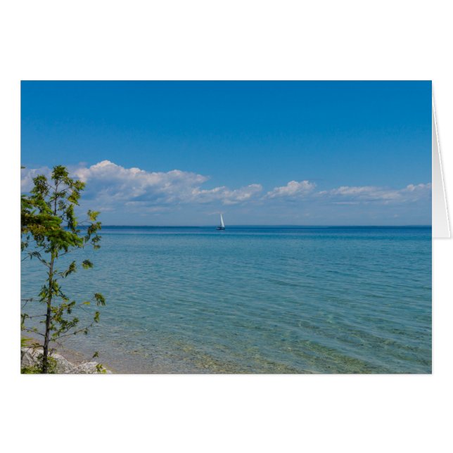 Sail Away (Front Horizontal)