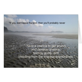 Sail Away From the Safe Harbour
