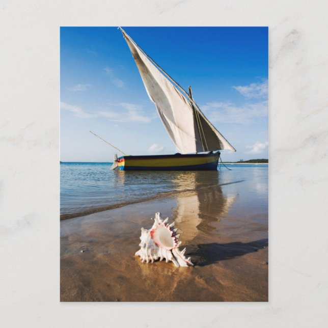 Sail Boat And Shell | Mozambique, Benguerra Lodge Postcard (Front)