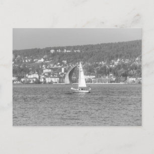 Sail Boat Lake Zurich  Postcard
