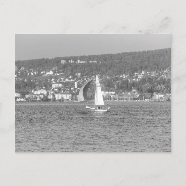 Sail Boat Lake Zurich  Postcard (Front)