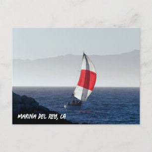 Sailboat - Marina Del Rey, CA Postcard