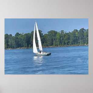 Sailboat Poster
