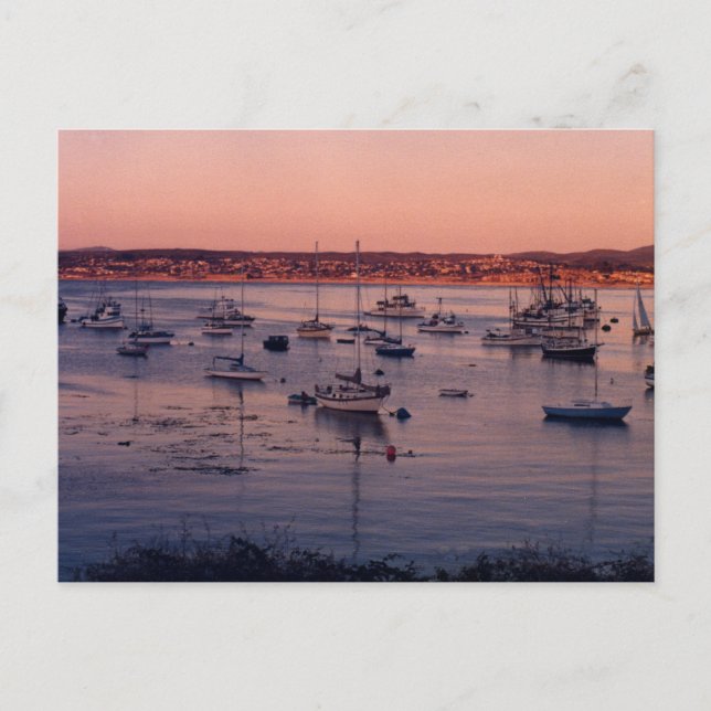 Sailboats and Sunsets Postcard (Front)