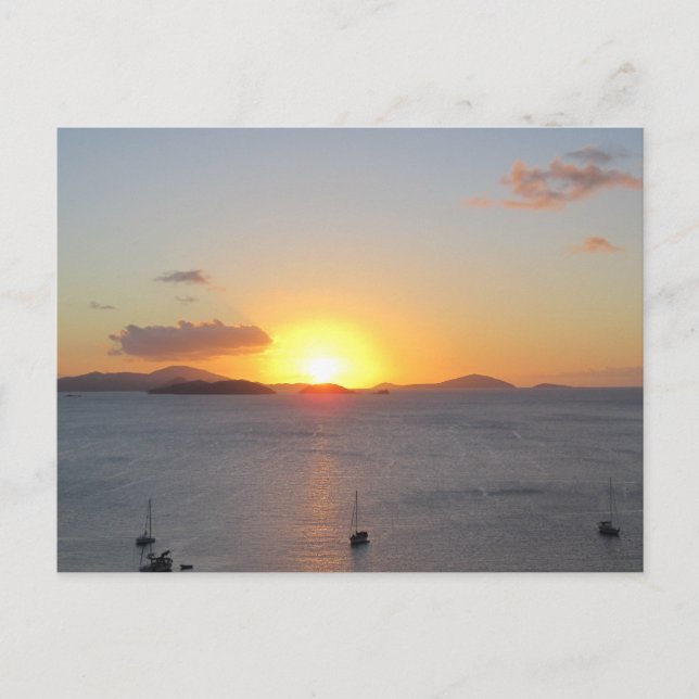 Sailboats at St.John Postcard (Front)