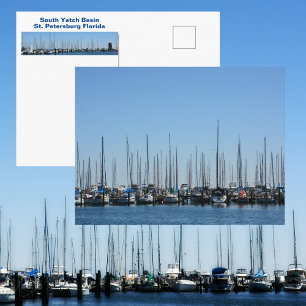 Sailboats in a Row St Petersburg FL Photographic Postcard