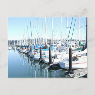 Sailboats in Harbour Postcard